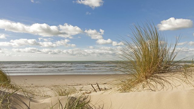 Fort-Mahon-Plage Coastal Panorama