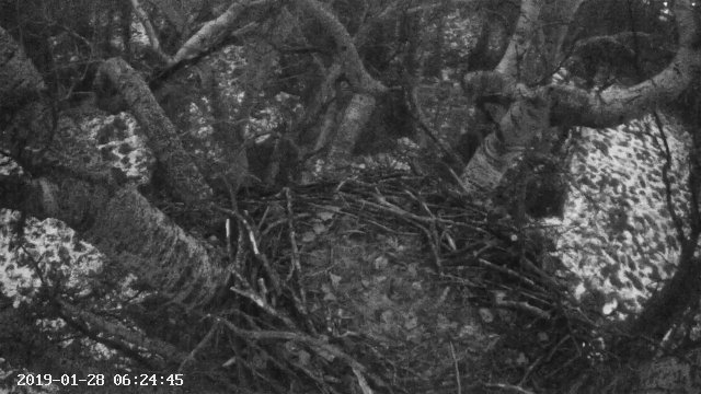 Danube-Ipoly Eagle Nest Haven