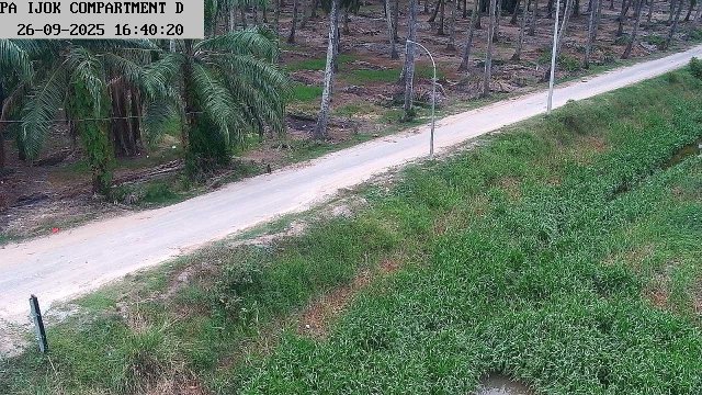 Sungai Yu Selangor River Junction