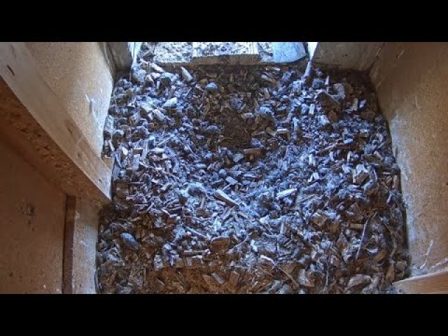 Berlin Corbusierhaus Kestrel Nest