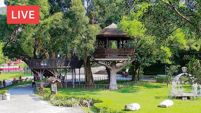 Hutoushan Owl Forest Sanctuary