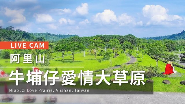 Alishan Niupuzai Grassland Panorama