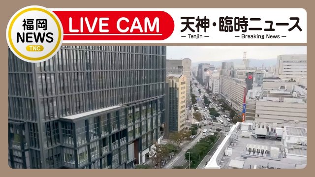 Fukuoka Watanabe-dori Street View