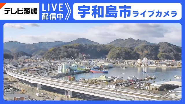Uwajima Castle and Harbor Vista