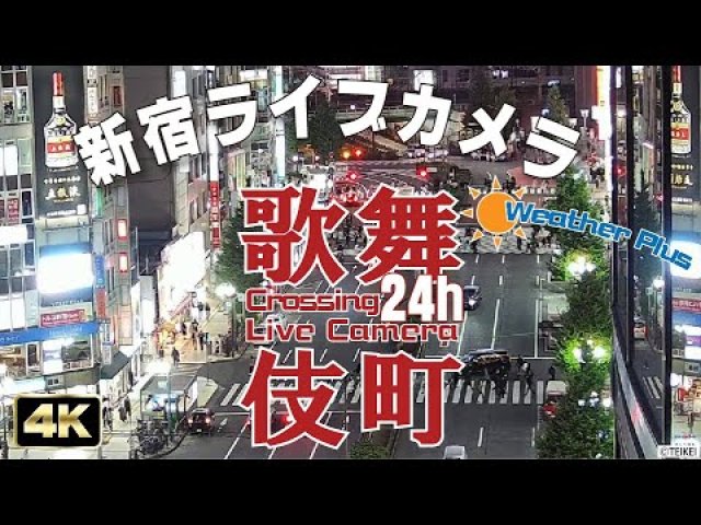 Kabukicho Intersection, Shinjuku