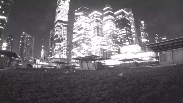 Manhattan Views from Javits Roof