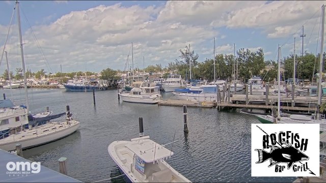 Stock Island Busy Harbor Scene