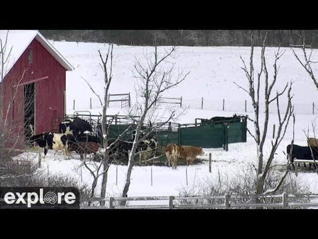 Wisconsin Sanctuary Pasture Scene