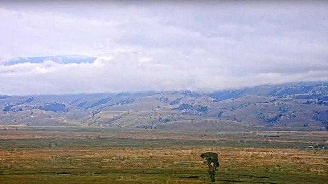 National Elk Refuge Plains View