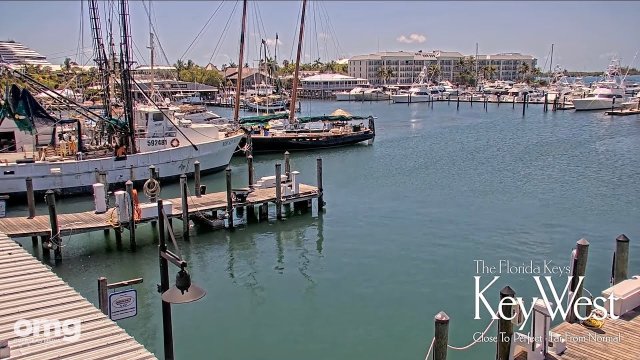 Key West Bight Marina Harbor Views