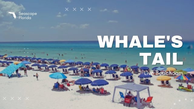 Whale's Tail Beach Coastal Vista