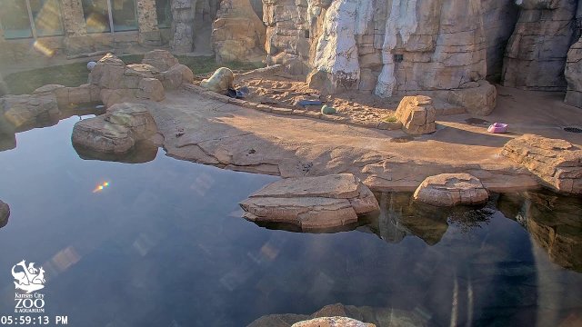 Kansas City Zoo Polar Bear Habitat