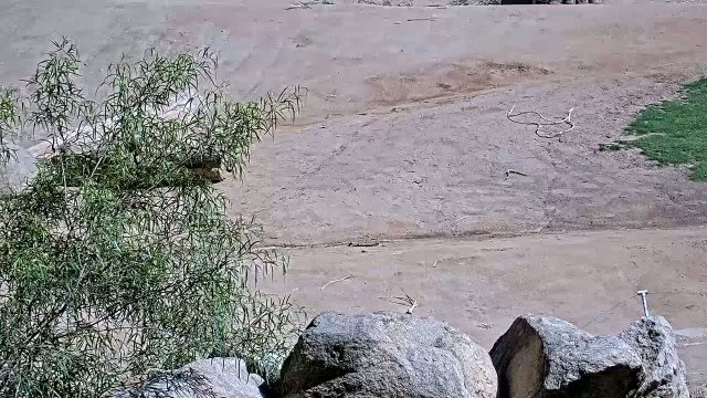 San Diego Zoo Elephant Habitat