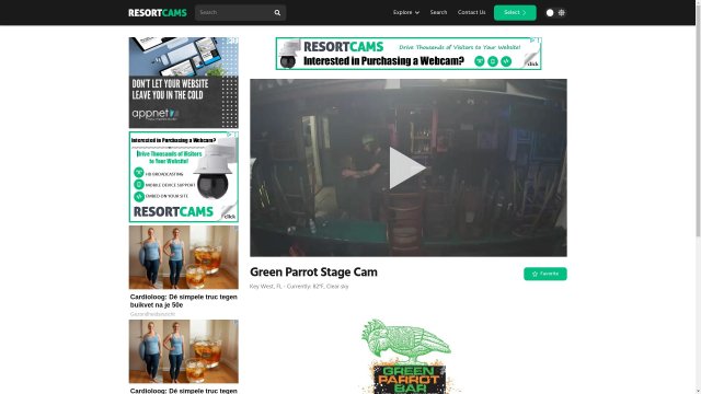 Green Parrot Bar Key West Scene
