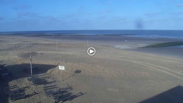 Surfing Elephant - Live Cam