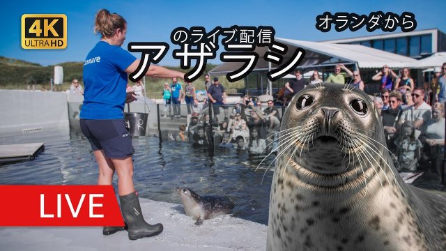 Ecomare Seal Sanctuary on Texel