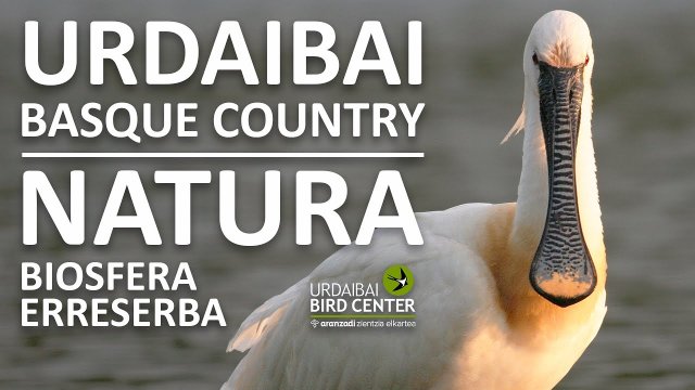 Urdaibai Bird Sanctuary Panorama