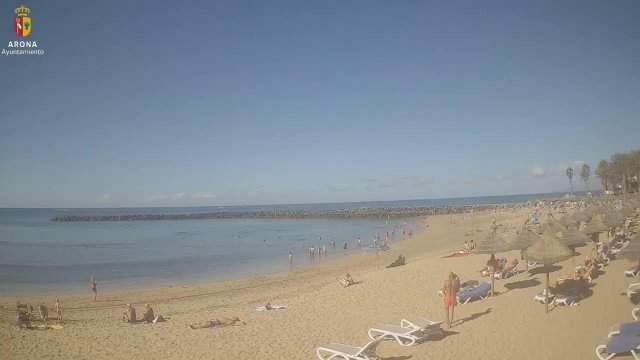 Playa El Camison Beach in Arona