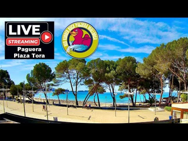 Paguera Tora Beach Panorama