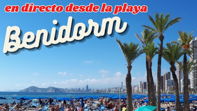 Benidorm Avenida Madrid Bustle