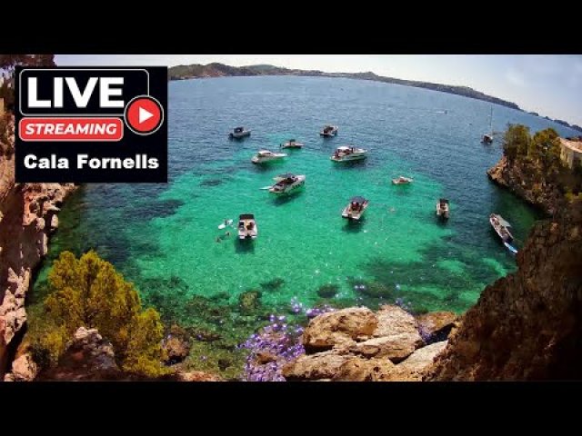 Cala Fornells Beach in Paguera