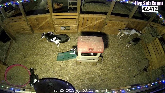 Ontario Lakeside Goat Pastures